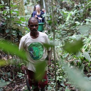 Zwei Personen laufen hintereinander auf einem schmalen Weg durch den Regenwald