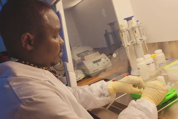 Probenanalyse im molekularbiologischen Diagnostiklabor