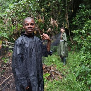 Zwei Personen beim Spannen von Netzen im Regenwald
