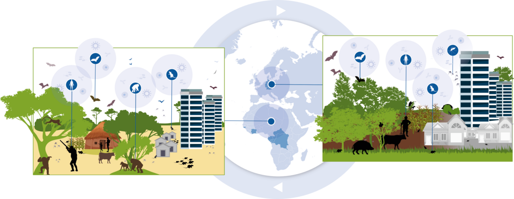 Modellregionen der One Health Surveillance.