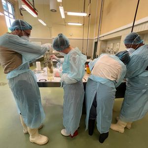 Team bei der Entnahme historischer Proben