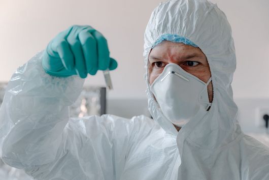 Sébastien Calvignac-Spencer dans le laboratoire.