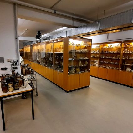  pathologische Sammlung 