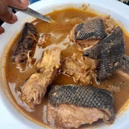 Wildschlangeneintopf