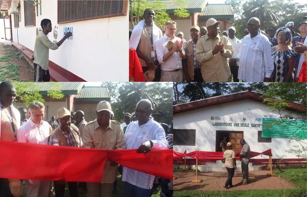 Collage Inauguration du laboratoire de diagnostic moléculaire 