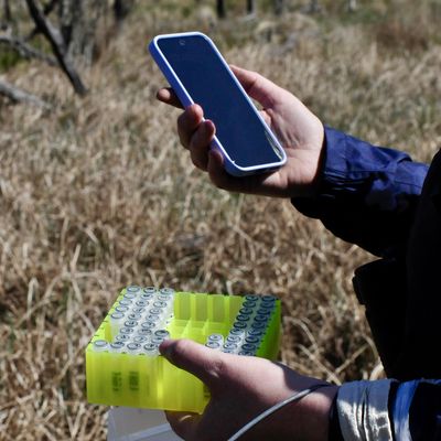 Ein Behältnis mit Proben und ein Handy gehalten mit Händen 