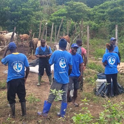Study team in the village of Keibly speaking with livestock keepers in front of a cattle herd.