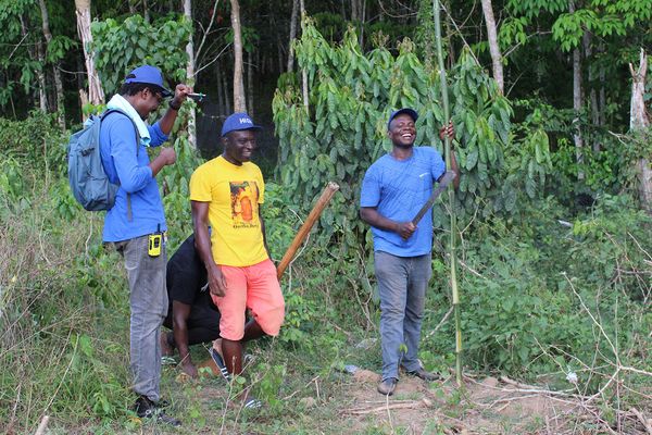 quatre personnes devant des arbres aux longues branches