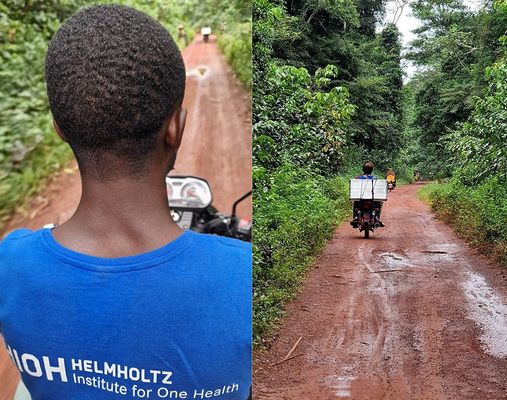 Motorrad auf dem Weg