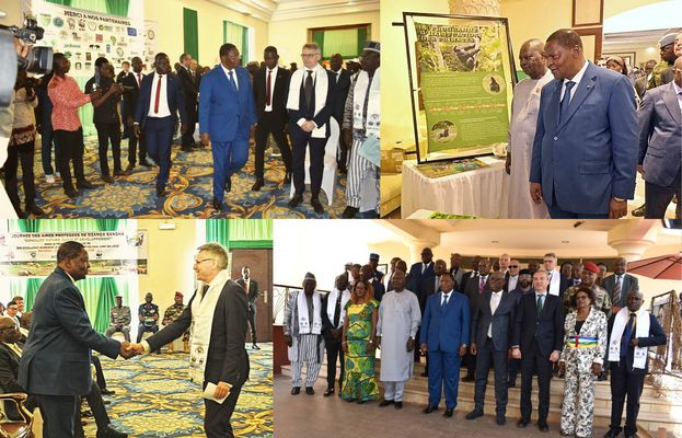 Collage avec des photos de l'invité d'honneur, le professeur Faustin-Archange Touadéra