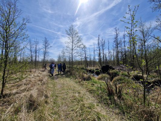Landschaftsbild vom Moor mit einer Schülergruppe