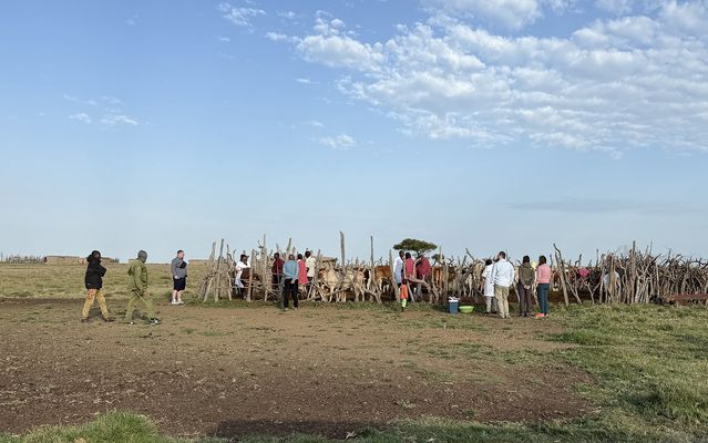 Abbildung eines Viehgeheges 