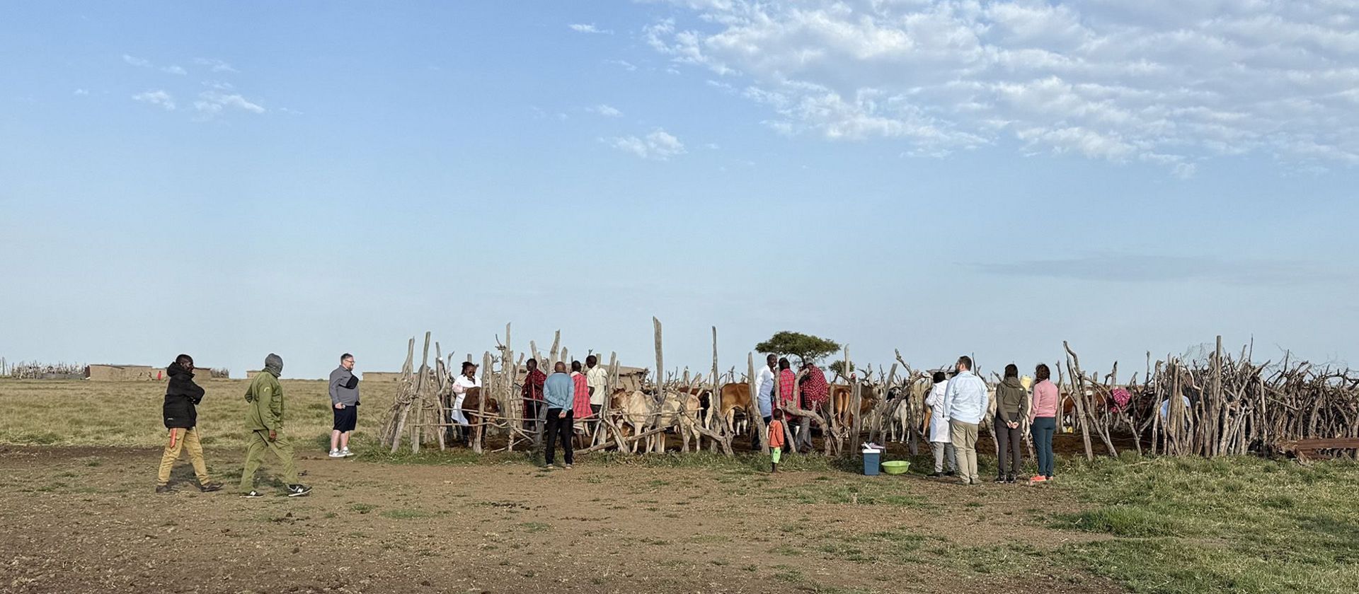 Abbildung eines Viehgeheges 