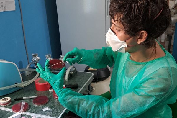 Mann untersucht Proben im Labor