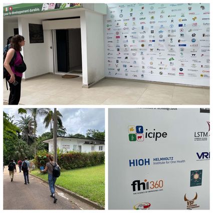 Collage - Bilder der Partnerschaften (u.a. Logos)