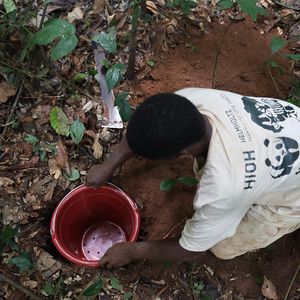 Eine Person kniet vor einem Eimer auf dem Boden